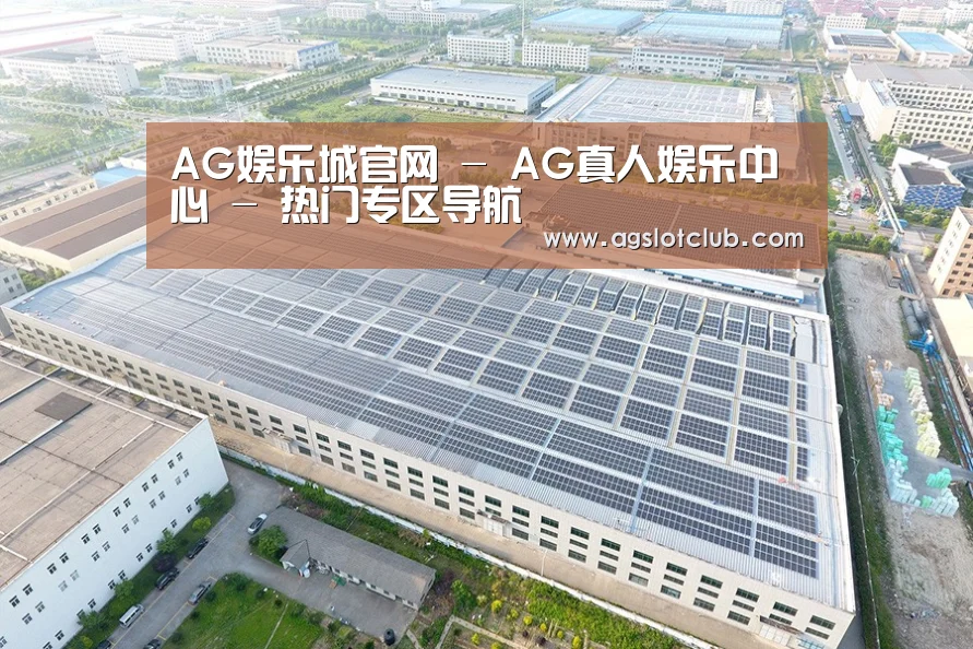 案例展示一