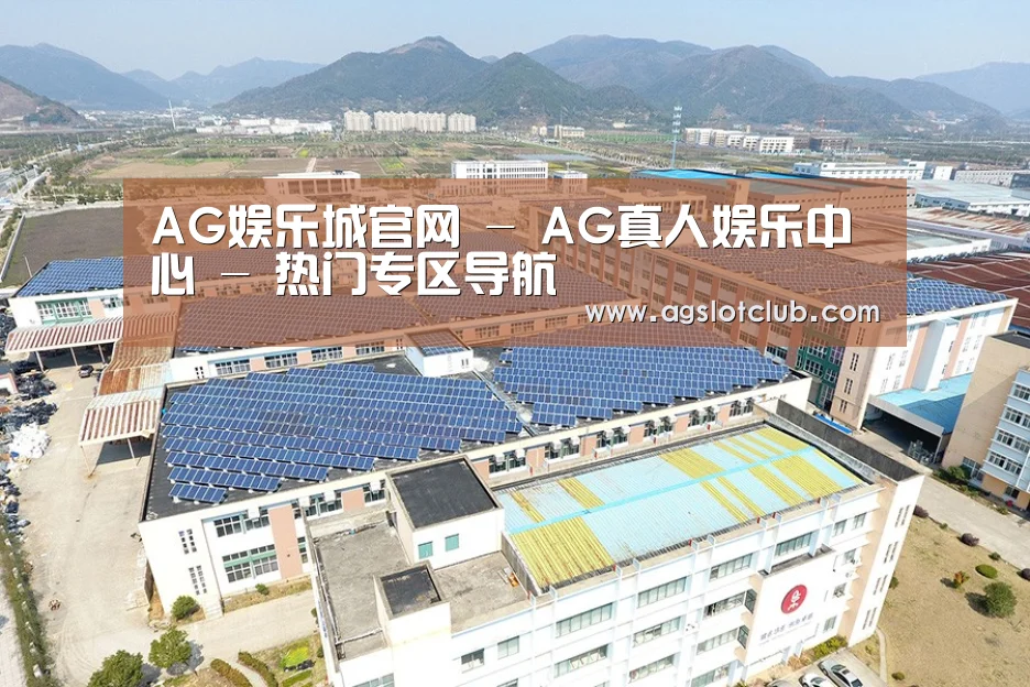 案例展示一