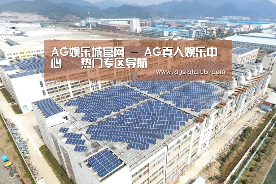 案例展示二