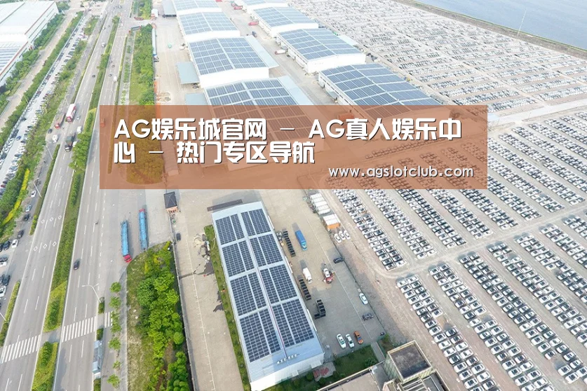 案例展示三