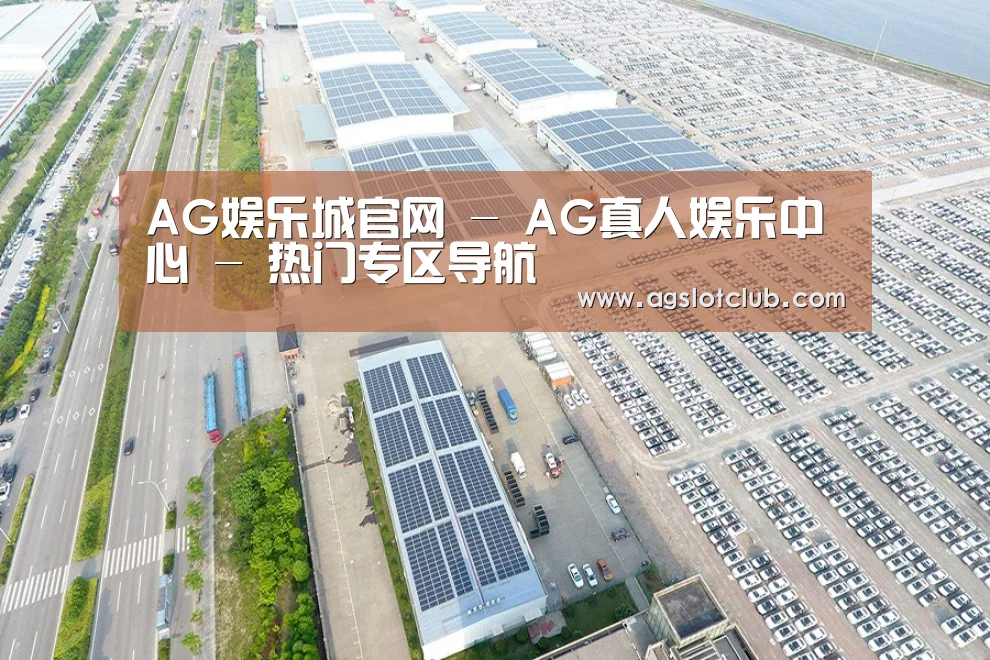案例展示二